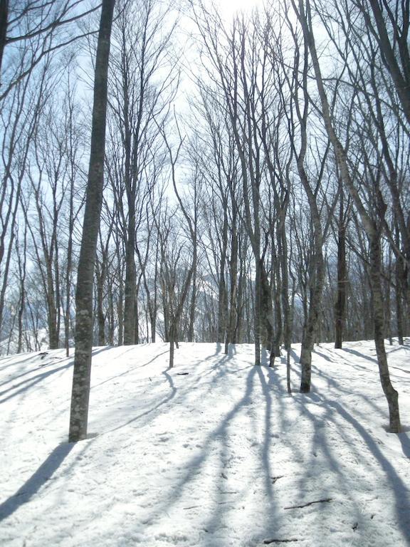 Villa Komakusa Hakuba Ngoại thất bức ảnh