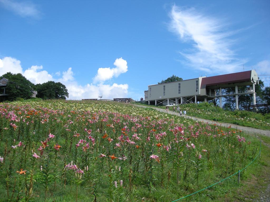 Villa Komakusa Hakuba Ngoại thất bức ảnh